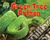 Green Tree Python Green Tree Python