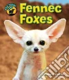 Fennec Foxes Fennec Foxes
