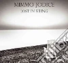 Lost in seeing Lost in seeing