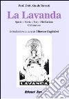 La lavanda. Specie, storia, usi, distillazione, coltivazione La lavanda. Specie, storia, usi, distillazione, coltivazione